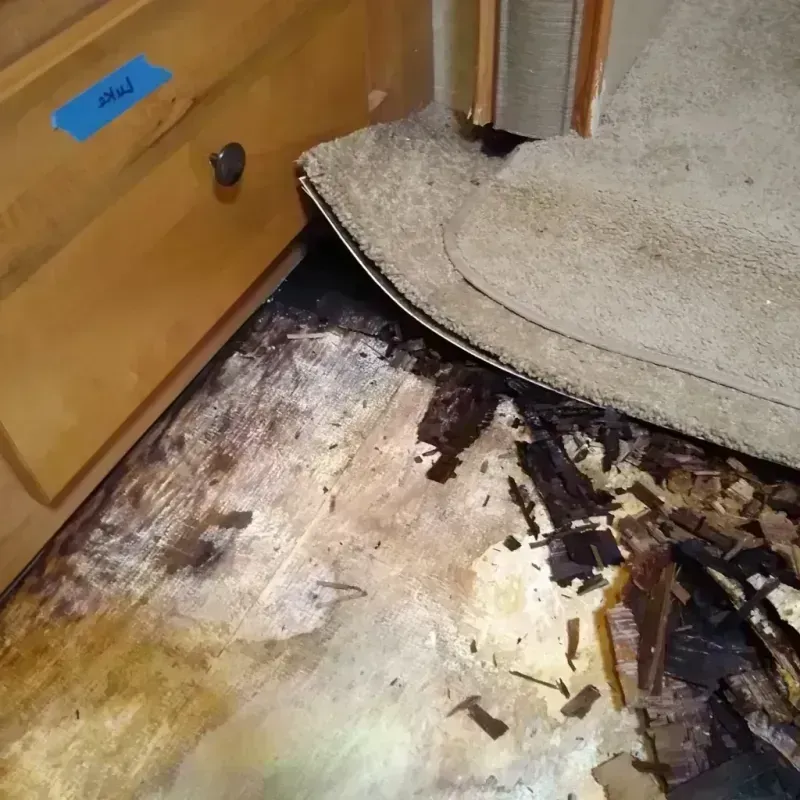 Wood Floor Water Damage in Hot Sulphur Springs, CO